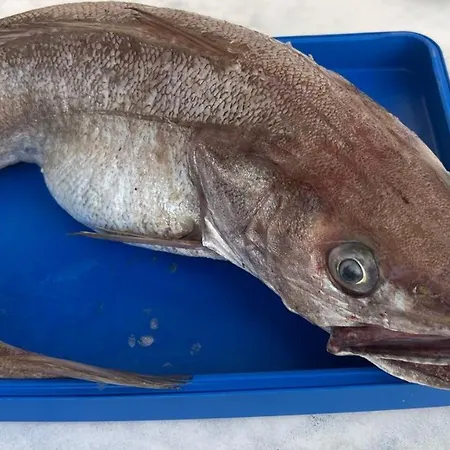 Kaso Sarande